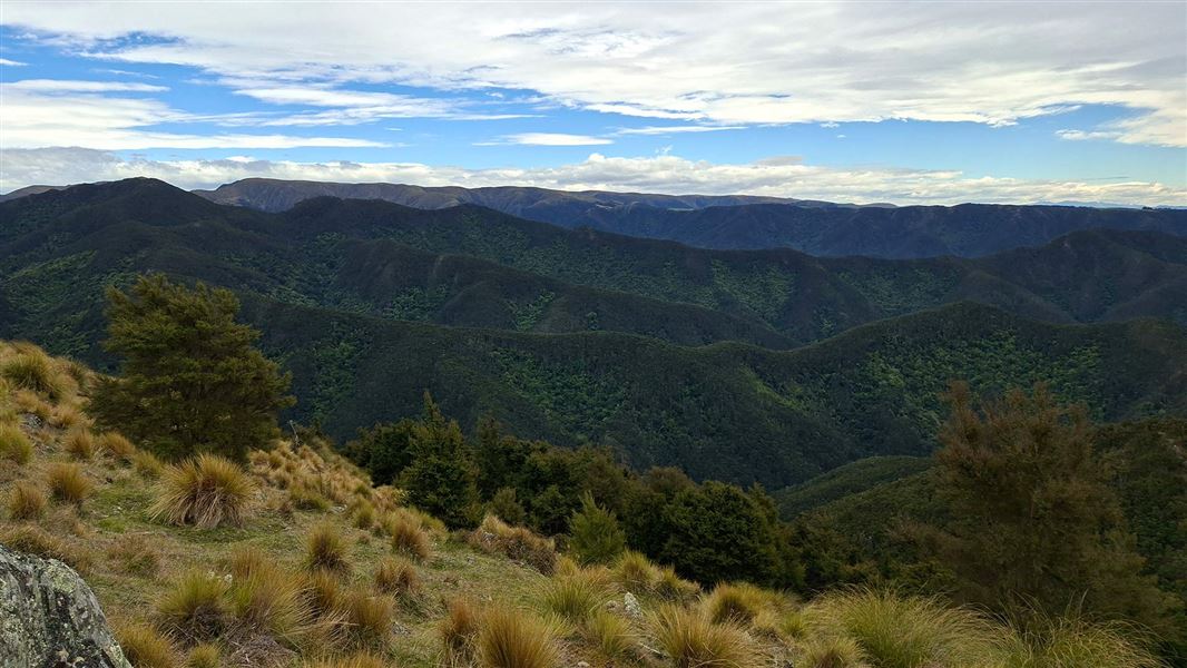Waianakarua Circuit Route