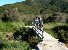 Waiharakeke Bay campsite, campsite in Tasman
