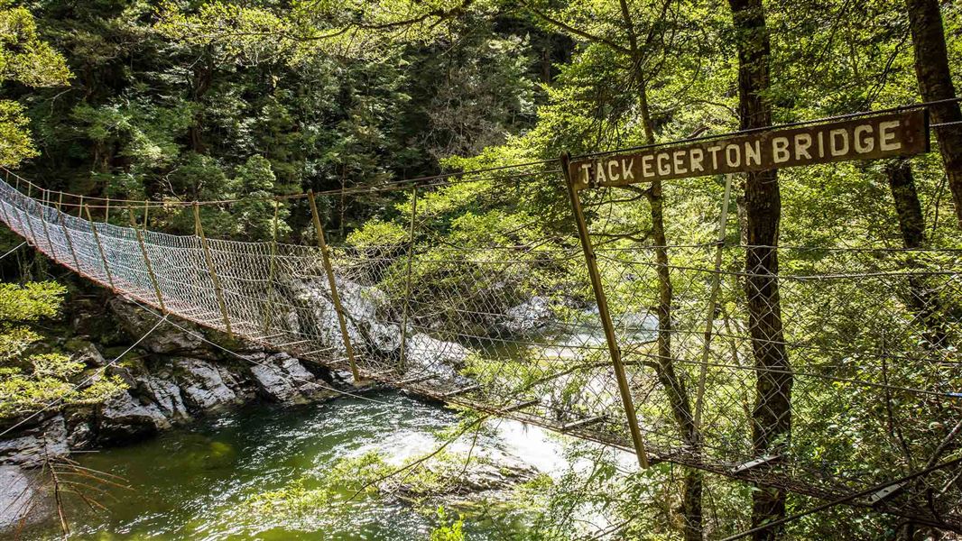 Waikaia River Track
