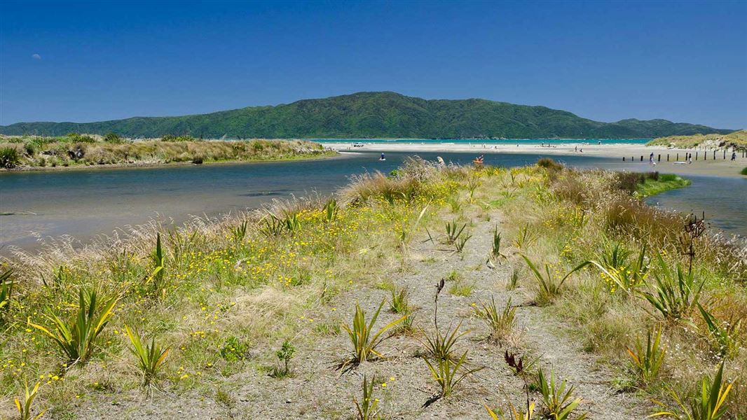 Waikanae Link Track, walk in Wellington