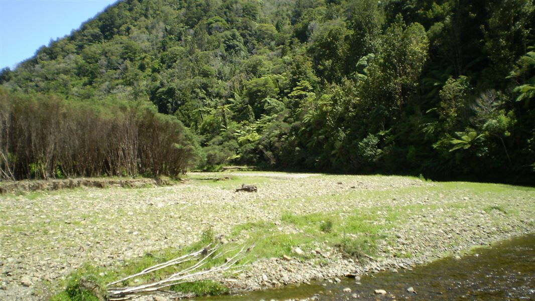 Waikawau Track