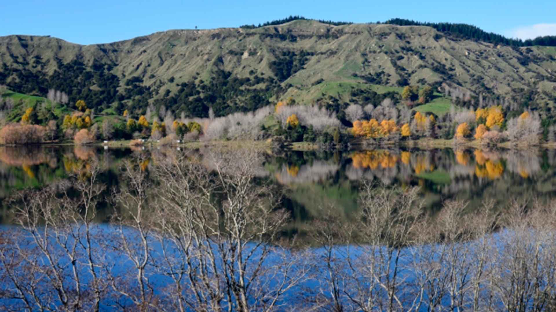 Waikōpiro Loop Track, walk in Hawke's Bay