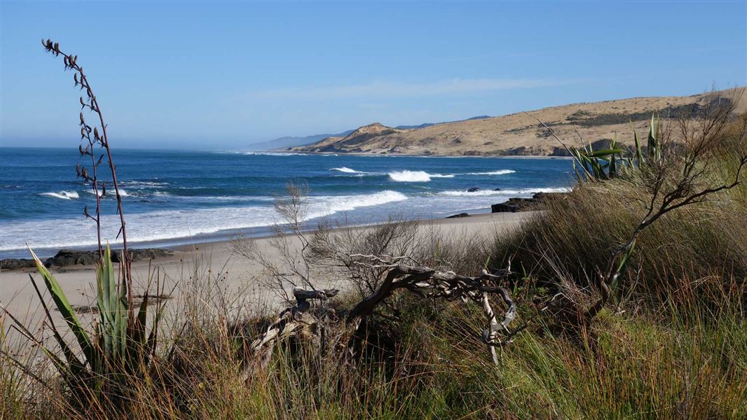 Waimamaku Coastal Track