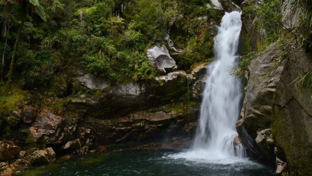 Wainui Falls Track