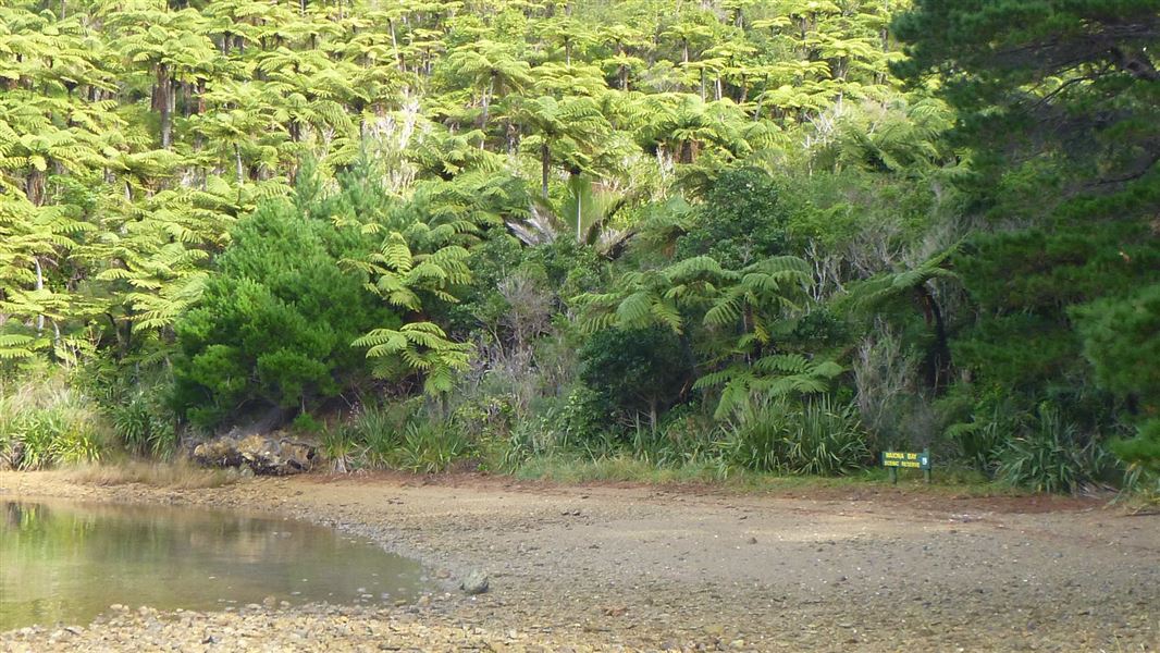 Waiona Bay Campsite, campsite in Marlborough