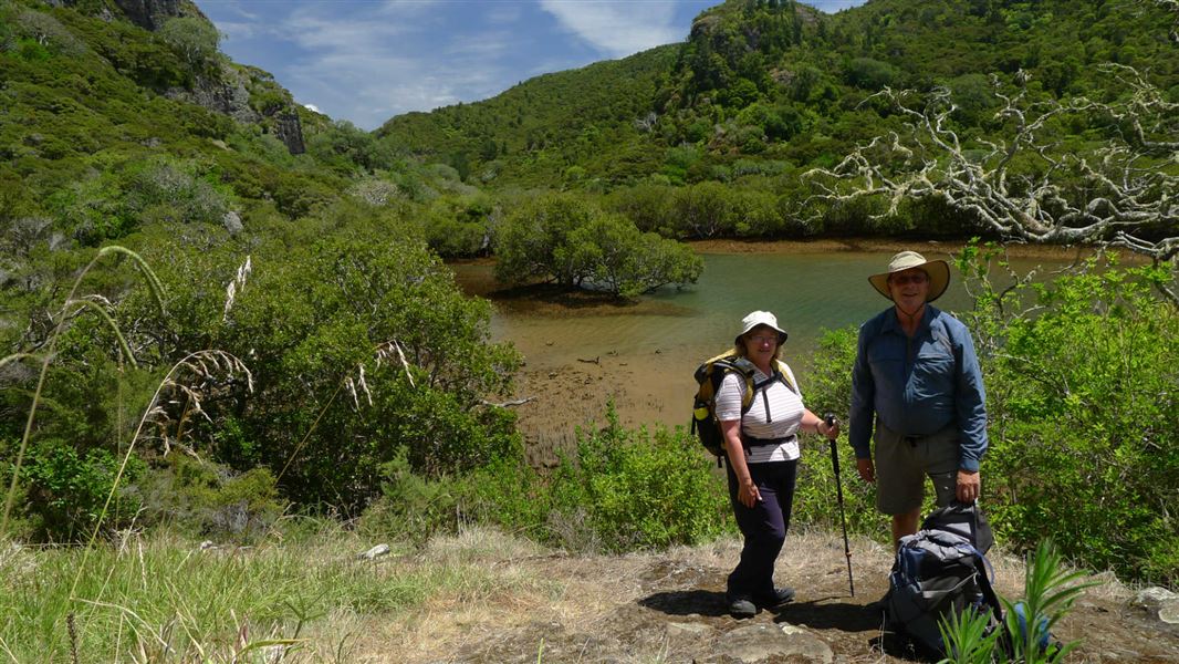 Wairakau Stream Track