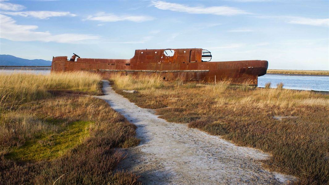 Wairau Lagoons Walkway, walk in Marlborough