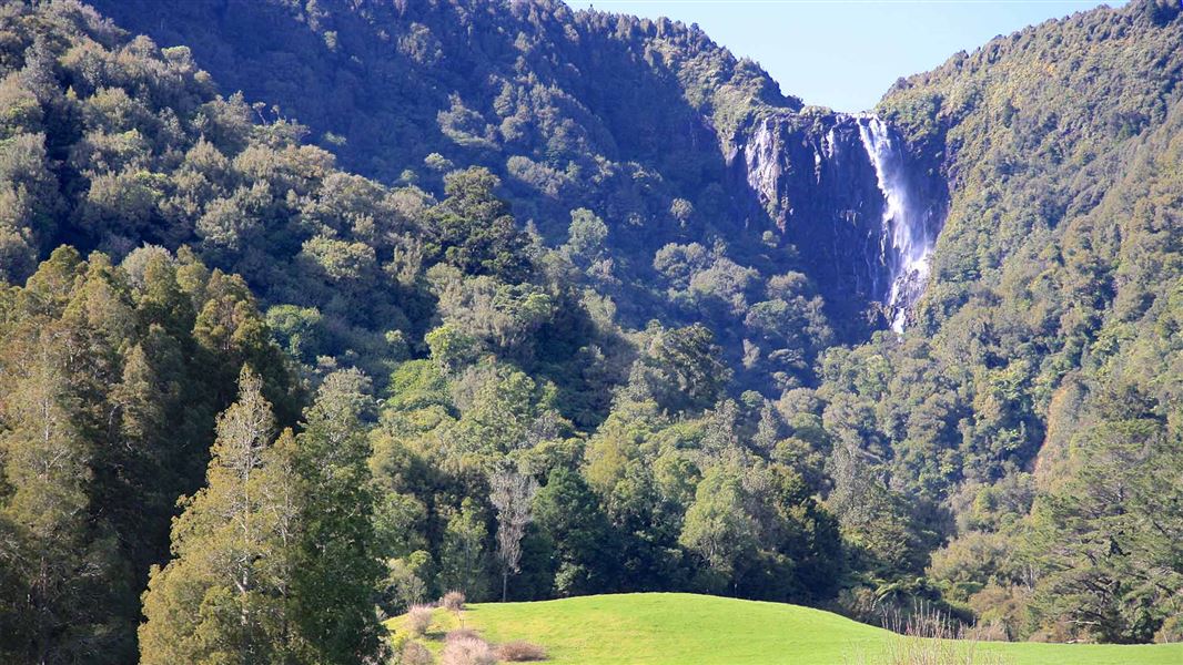 Wairere Falls Track