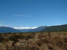 Waitangitāhuna Wetland Walk