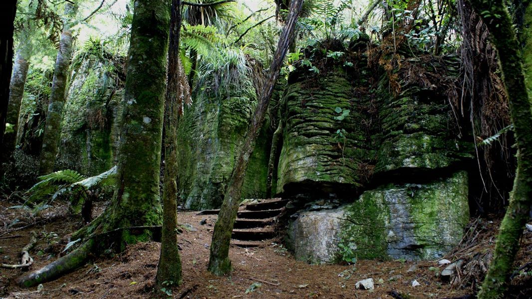 Waitomo Walkway