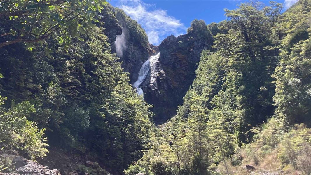 Waitonga Falls Track