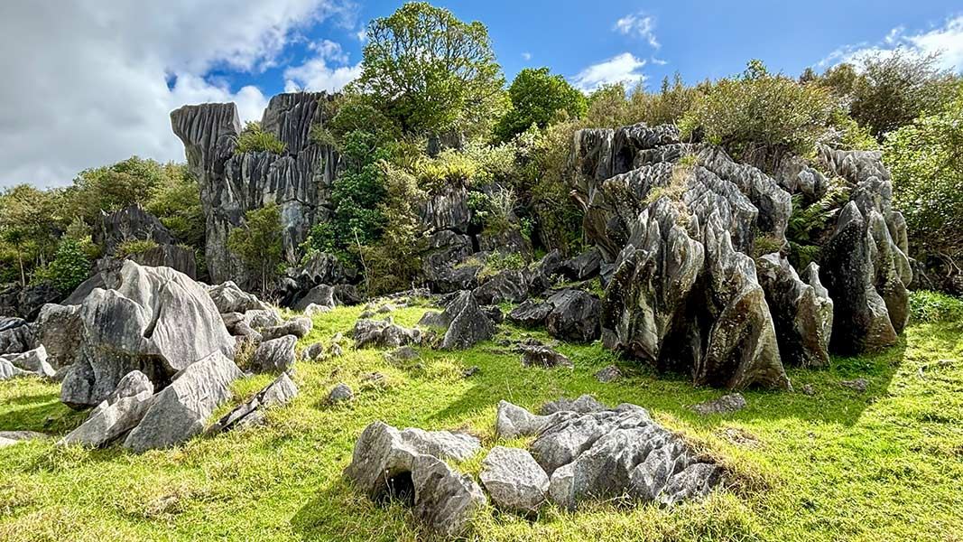 Waro Limestone Scenic Reserve Walk, walk in Northland