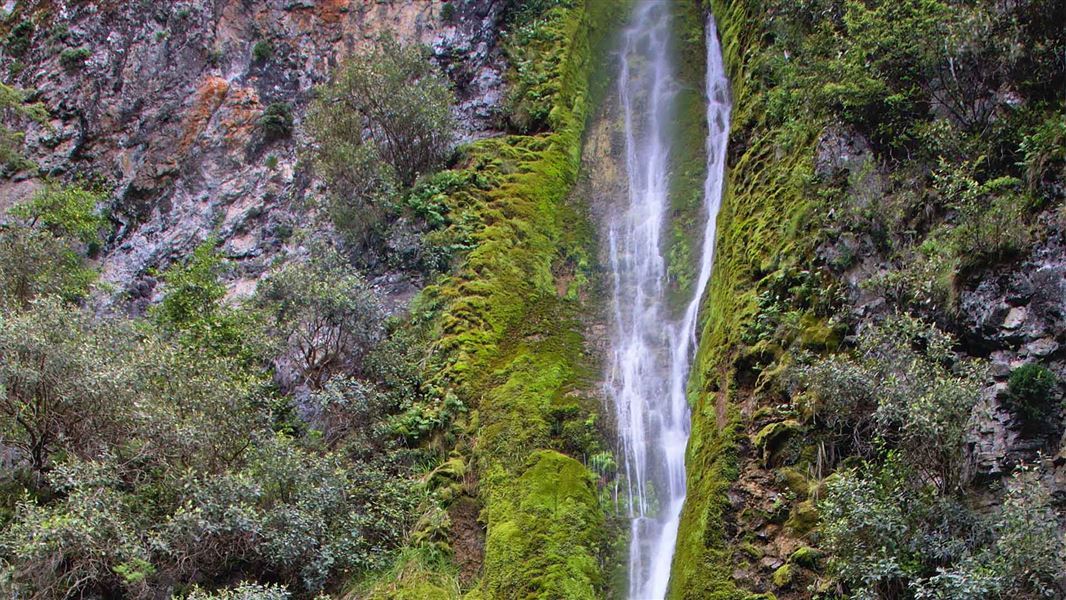 Waterfall Track
