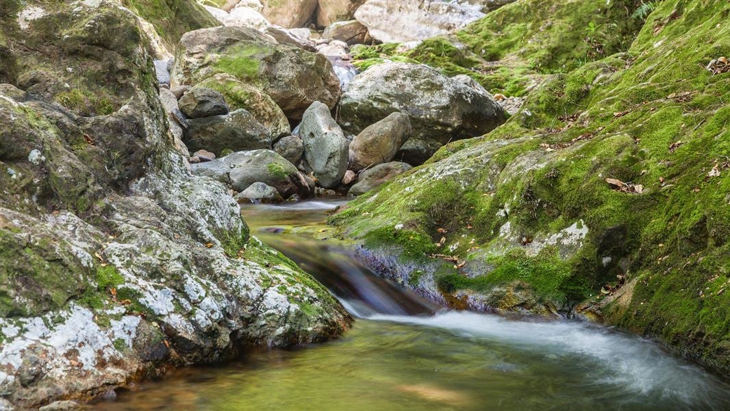 Wentworth Falls Walk