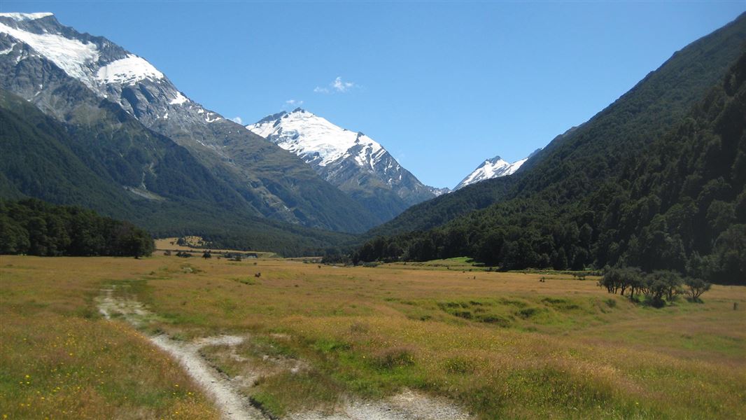 West Matukituki Track