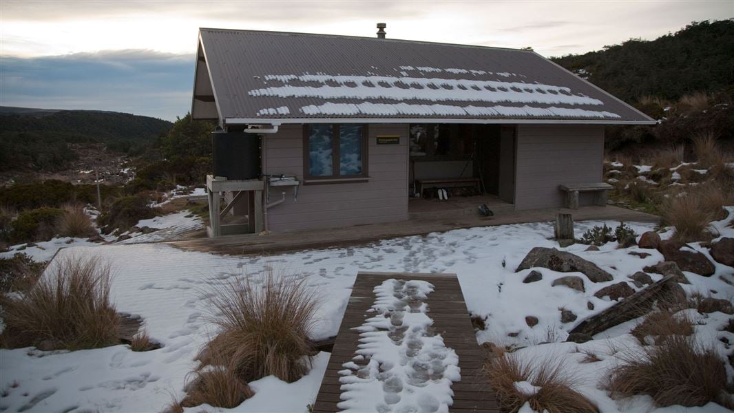 Whakapapaiti Hut, hut in Manawatū-Whanganui