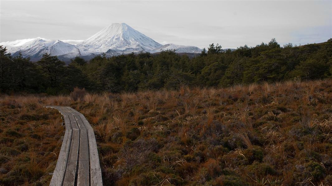 Whakapapaiti Valley Track
