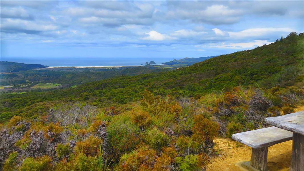 Whangaparapara: Te Ahumata Track