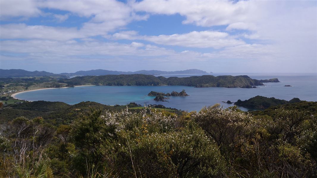 Whangaruru North Head walking tracks, walk in Northland