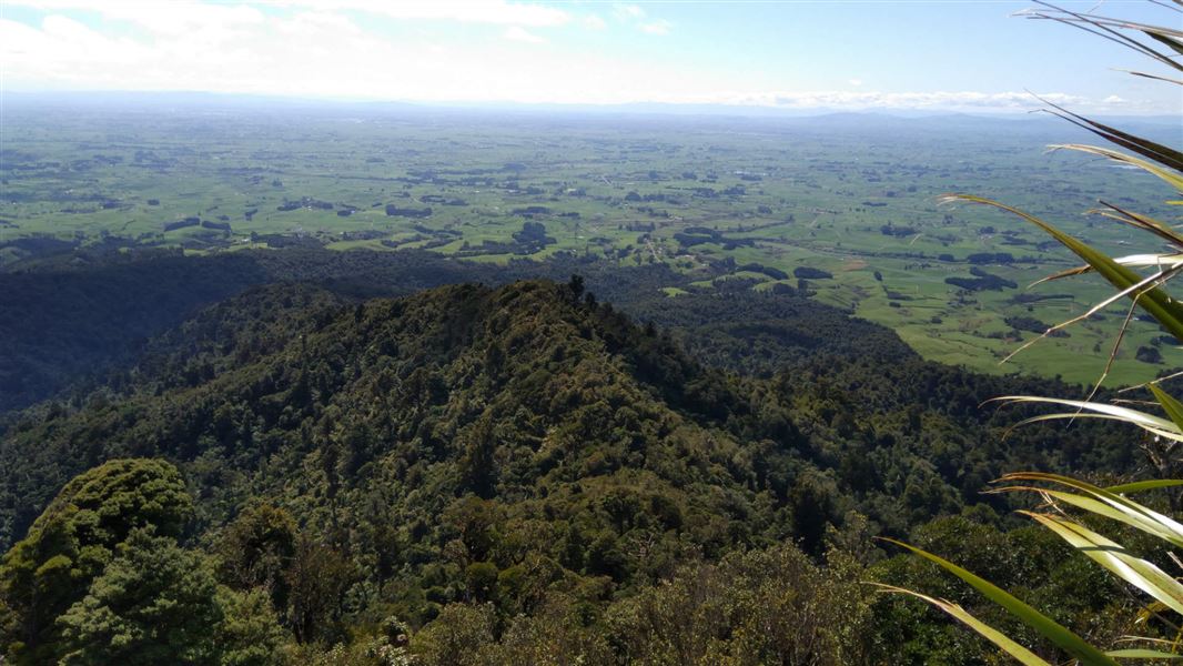 Wharauroa Track