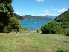 Wharehunga Bay Campsite, campsite in Marlborough