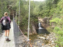 Wharekirauponga Track