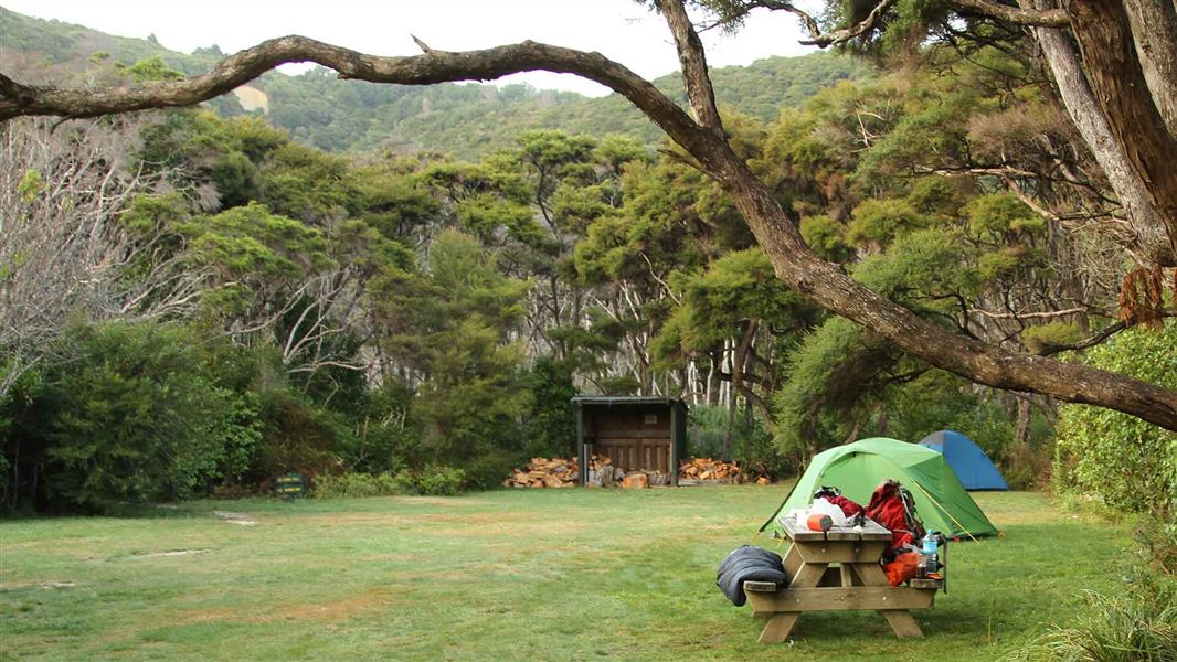 Whariwharangi Bay campsite, campsite in Tasman