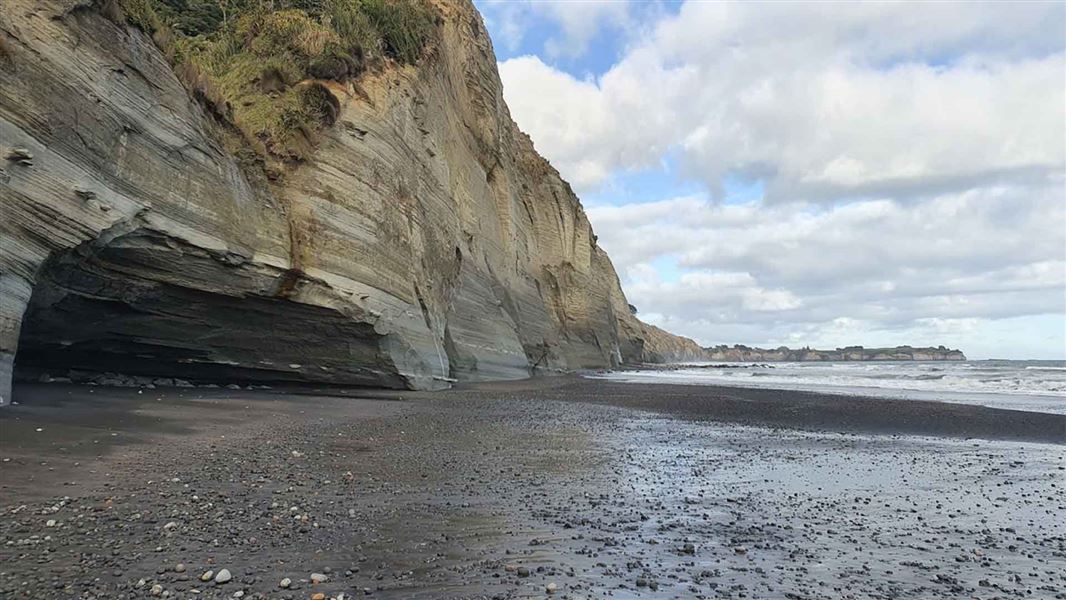 White Cliffs Track Walkway, walk in Taranaki