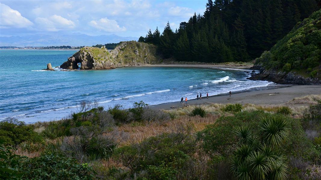 Whites Bay Campsite, campsite in Marlborough