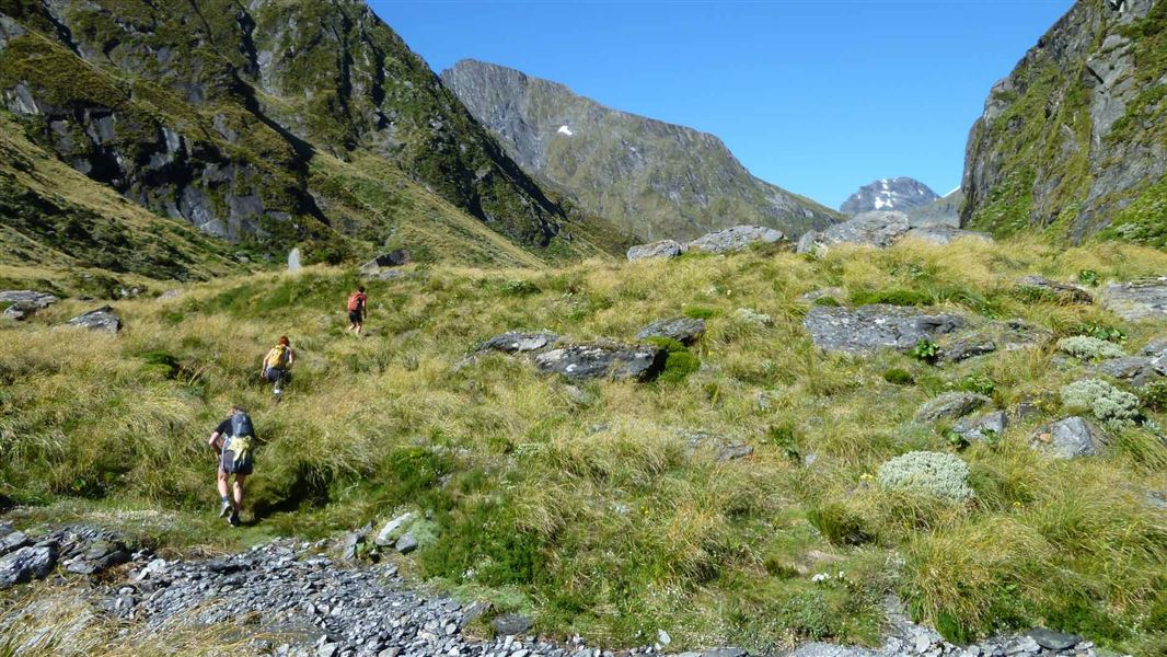 Wilkin Valley tracks