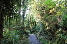 Willberg Walk, walk in West Coast