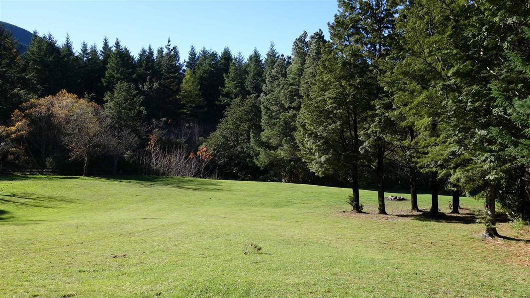 Wooded Gully Campsite, campsite in Canterbury
