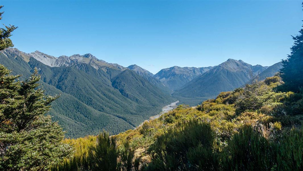 Woolshed Hill Track